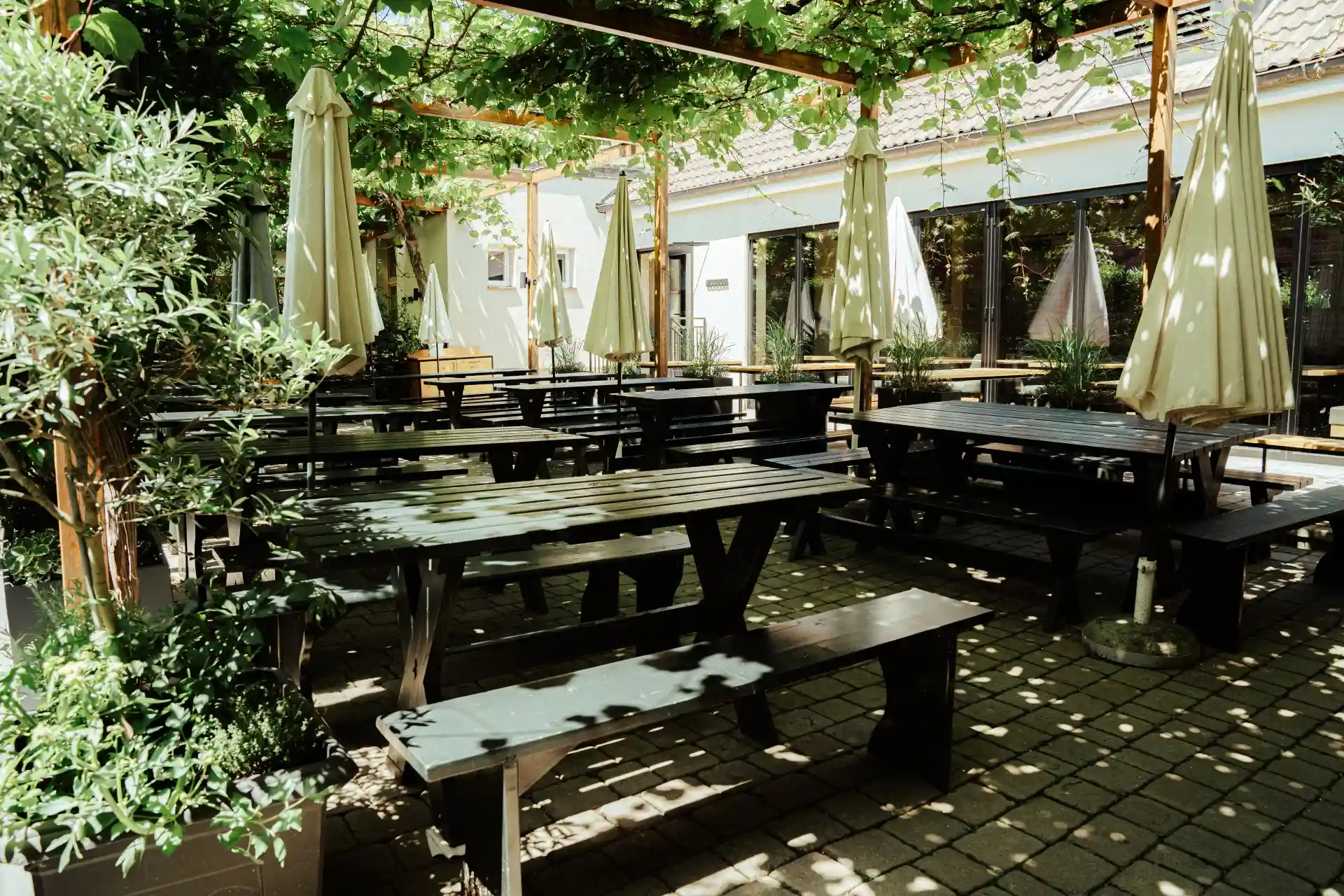 Heuriger Jedlersdorf in Wien Schanigarten Weingut Christ