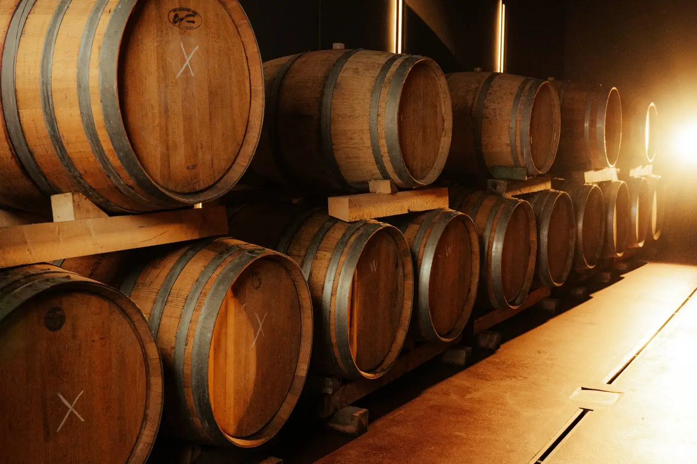 Teambuilding Wien Weinkeller Weingut Christ